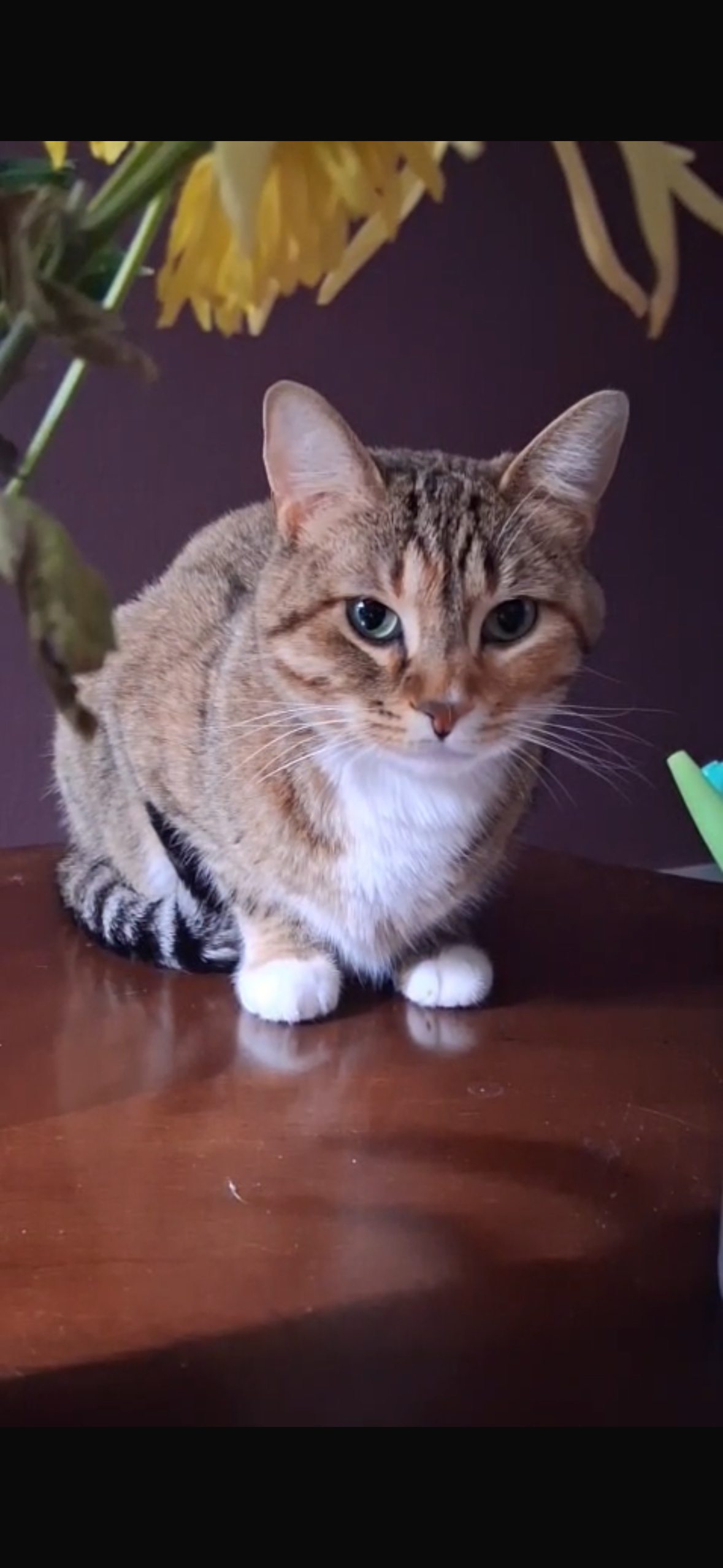 Lily looking at the camera beneath flowers